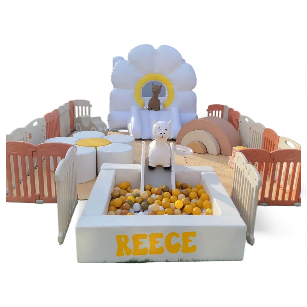 Softplay Large Package