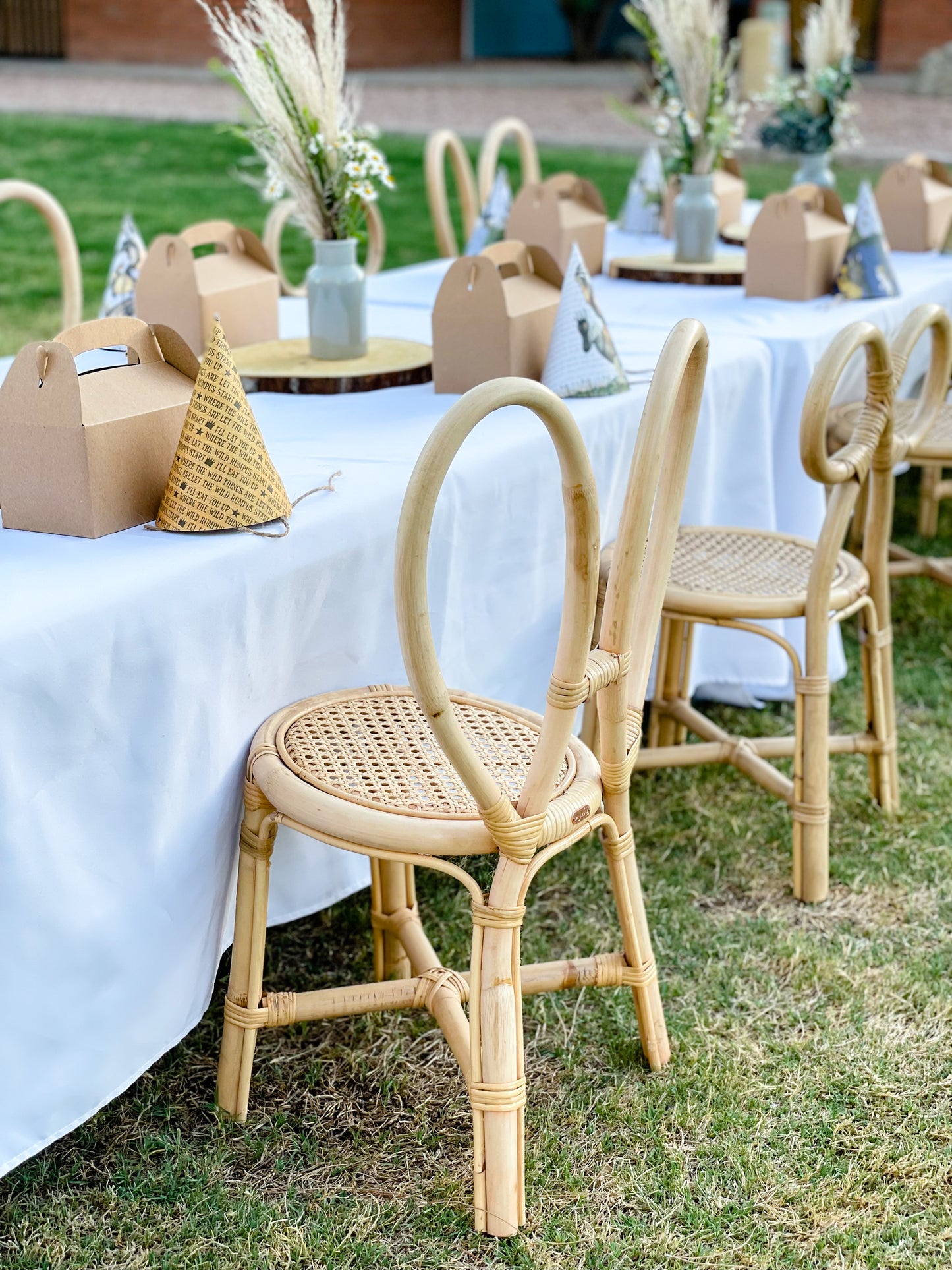 12 Bunny Bliss Chairs